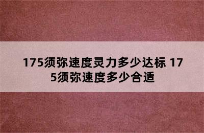 175须弥速度灵力多少达标 175须弥速度多少合适